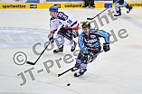 13.12.2013 - ERC Ingolstadt - Adler Mannheim