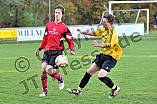 03.11.2012 - SG FC Hitzhofen-Oberzell / SG SpVgg Wolfsbuch