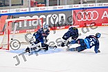 Eishockey, Herren, DEL, Saison 2024-2025, Spieltag 30, ERC Ingolstadt - EHC Red Bull München, 26.12.2024