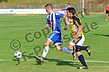 10.09.2016 - DJK Dollnstein - SV Alesheim