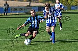 19.10.2013 - FC Arnsberg - JFG Schambachtal