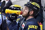 ERC Ingolstadt vs Duesseldorfer EG, Eishockey, DEL, Deutsche Eishockey Liga, Spieltag 50, 21.02.2017
