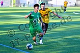 Fußball, Herren, Kreisliga Donau Isar, Saison 2025-2026, Spieltag 21, VfB Eichstätt II - TSV Lichtenau, 01.05.2026