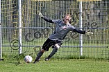 Fußball, Herren, Kreisliga West, Saison 2022-2023, Spieltag 20, DJK Pollenfeld - SC Polsingen, 22.04.2023