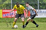 Fußball, Herren, Kreisliga West, Saison 2022-2023, Spieltag 25, DJK Pollenfeld - TSV Heideck, 04.06.2023