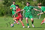 Fußball, Herren, Saison 2026-2027, Testspiel, DJK Limes - VfB Eichstätt, 12.07.2026