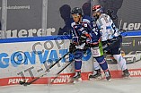 02.01.2021 - Straubing Tigers - ERC Ingolstadt