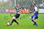 29.09.2012 - FC Gelbelsee /  FC Irfersdorf