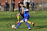 26.03.2015 - DJK Pollenfeld - SpVgg Roth