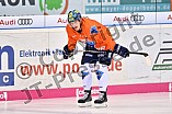 ERC Ingolstadt, Eishockey, DEL, Deutsche Eishockey Liga, 10.11.2017