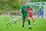 Fußball, Herren, Bayernliga Nord, Saison 2024-2025, Spieltag 13, VfB Eichstätt - ATSV Erlangen, 28.09.2024