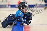 Eishockey, Saison 2025-2026, ERC Ingolstadt - Kids On Ice Day, 29.11.2025
