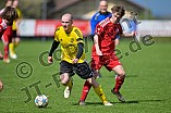 Fußball, Herren, Kreisklasse Neumarkt Jura Süd, Saison 2025-2026, Spieltag 22, DJK Pollenfeld - DJK Grafenberg, 19.04.2026