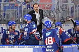 Eishockey, Herren, DEL, Saison 2020-2021, Adler Mannheim - ERC Ingolstadt, 24.01.2021