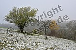 Erster Schnee im Altmühltal am 03.12.2022