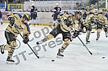 11.01.2015 - ERC Ingolstadt - Hamburg Freezers