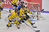 ERC Ingolstadt vs Krefeld Pinguine, DEL, Deutsche Eishockey Liga, Spieltag 44, 01.02.2019