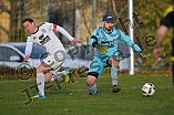 24.11.2019 - DJK Pollenfeld - SV Rednitzhembach