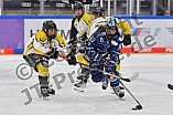 Eishockey, Frauen, DFEL, Saison 2021-2022, ERC Ingolstadt - Mad Dogs Mannheim, 23.10.2021