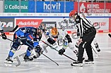 Eishockey, Herren, DEL, Saison 2023-2024, Playoffs Viertelfinale - Spiel 2, ERC Ingolstadt - Fischtown Pinguins , 20.03.2024