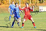13.11.2011 - DJK Workerszell / SV Marienstein II