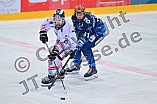 Eishockey, Frauen, DFEL, Saison 2024-2025, ERC Ingolstadt - ECDC Memmingen Indians, 19.01.2025
