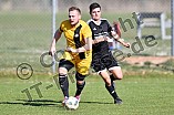 08.04.2018 - DJK Pollenfeld - TSV Meckenhausen