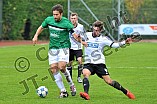 29.10.2016 - VfB Eichstätt - SV Erlenbach-Main