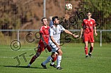 Fußball, Herren, Kreisliga Neumarkt Jura West, Saison 2023-2024, Spieltag 8, DJK Limes - SG SV Barthelmesaurach-SV Kammerstein, 01.10.2023