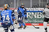 Eishockey, Frauen, DFEL, Saison 2023-2024, ERC Ingolstadt - Amsterdam Tigers, 06.01.2024