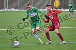 Fußball, Herren, Regionalliga Bayern, Saison 2021-2022, Testspiel, VfB Eichstätt - ASV Neumarkt, 29.01.2021