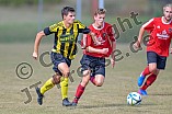 26.08.2018 - SG Ochsenfeld-Pietenfeld-Adelschlag - DJK Pollenfeld