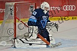 ERC Ingolstadt vs Schwenninger Wild Wings, Eishockey, DEL, Deutsche Eishockey Liga, 20.11.2015