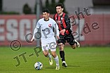 Fußball, Herren, Bayernliga Nord, Saison 2024-2025, Spieltag 31, FC Ingolstadt 04 II - ATSV Erlangen, 25.04.2025