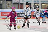 Eishockey, Saison 2025-2026, ERC Ingolstadt - Kids On Ice Day, 29.11.2025