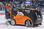 Eishockey, Herren, DEL, Saison 2025-2026, Spiel 21, ERC Ingolstadt - Pinguins Bremerhaven, 23.11.2025