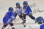 ERC Ingolstadt vs Straubing Tigers, Eishockey, DEL, Deutsche Eishockey Liga, 22.12.2015