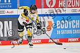 Eishockey, Frauen, DFEL, Halbfinale, Saison 2022-2023, ERC Ingolstadt - Mad Dogs Mannheim, 25.02.2023