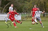 Fußball, Herren, Kreisliga Neumarkt Jura West, Saison 2023-2024, Spieltag 12, DJK Limes - SV Wettelsheim, 29.10.2023