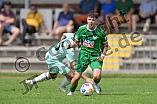 Fußball, Herren, Bayernliga Nord, Saison 2024-2025, Spieltag 7, VfB Eichstätt - DJK Ammerthal, 17.08.2024