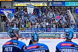 Eishockey, Herren, DEL, Saison 2025-2026, Spiel 47, ERC Ingolstadt - Nürnberg Ice Tigers, 01.03.2026