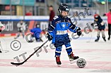 Eishockey, Saison 2025-2026, ERC Ingolstadt - Kids On Ice Day, 29.11.2025