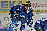 ERC Ingolstadt vs Augsburger Panther, Eishockey, DEL, Deutsche Eishockey Liga, 03.01.2016