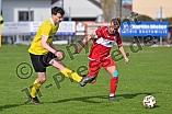 Fußball, Herren, Kreisliga West, Saison 2021-2022, Spieltag 18, DJK Pollenfeld - TSV 1860 Weißenburg U 23 II, 18.04.2022