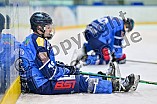 Eishockey, DNL Top Division Playoffs, Saison 2023-2024, Viertelfinale - Spiel 5, ERC Ingolstadt - EV Landshut, 12.03.2024