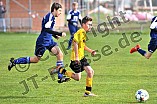 29.10.2016 - DJK Pollenfeld - SG SV Auernheim
