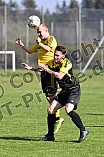 09.04.2017 - DJK Pollenfeld - TV Hilpoltstein