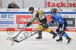Eishockey, Frauen, DFEL, Saison 2023-2024, ERC Ingolstadt - Mad Dogs Mannheim, 18.02.2024