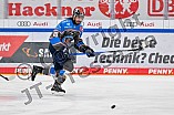 Eishockey, Herren, DEL, Saison 2023-2024, Spieltag 38, ERC Ingolstadt - Adler Mannheim, 14.01.2024