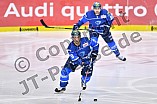 ERC Ingolstadt vs Duesseldorfer EG, Eishockey, DEL, Deutsche Eishockey Liga, Spieltag 22, 19.11.2017